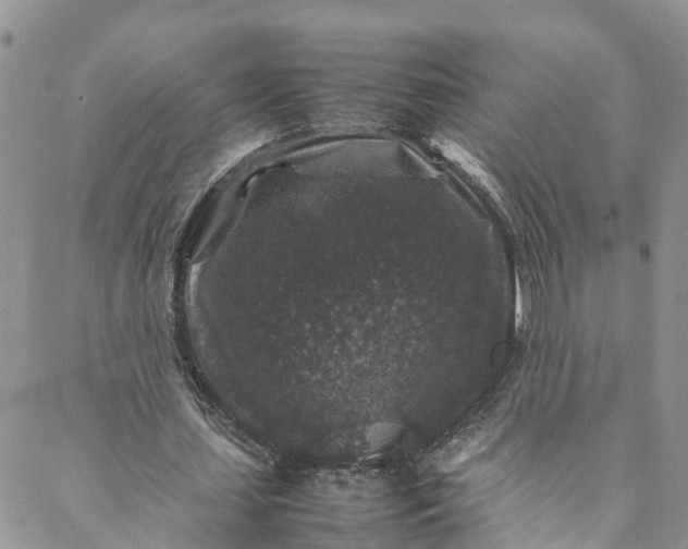 X0000088030627200705251117