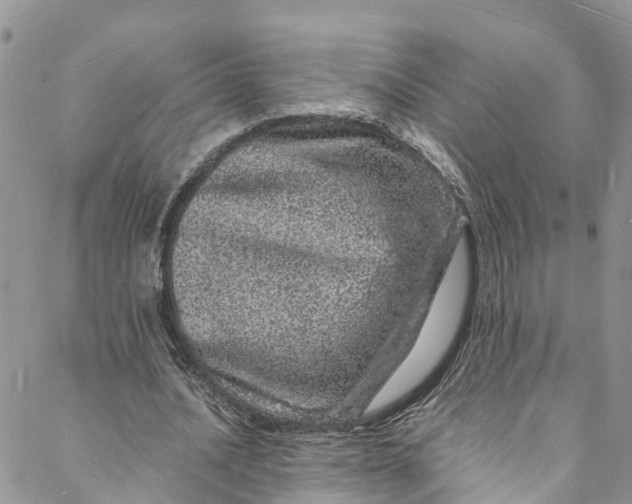 X0000088030628200705251117