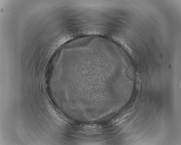 X0000088030631200705251117