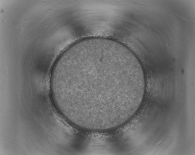 X0000088030632200705251117