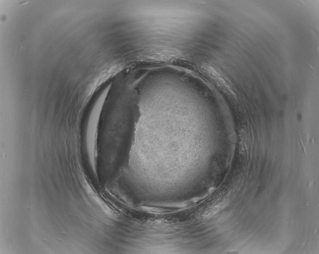 X0000088030634200705251117