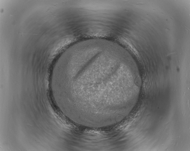 X0000088030635200705251117