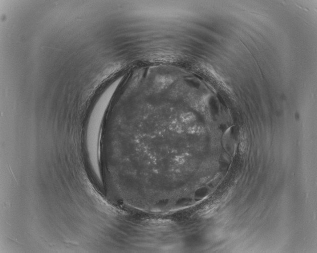 X0000088030637200705251117