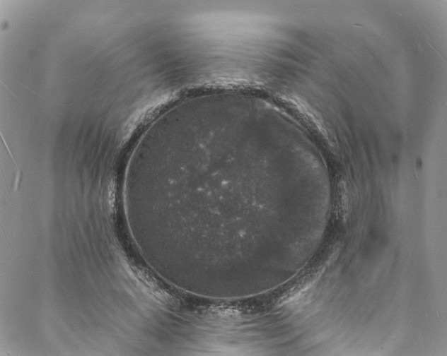 X0000088030640200705251117