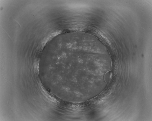 X0000088030641200705251117