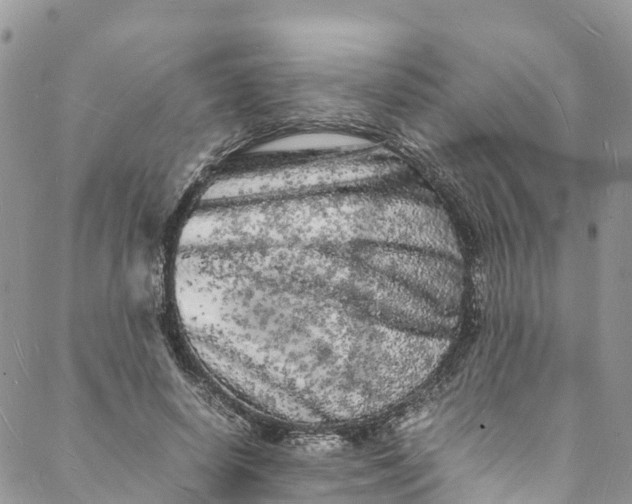 X0000088030642200705251117