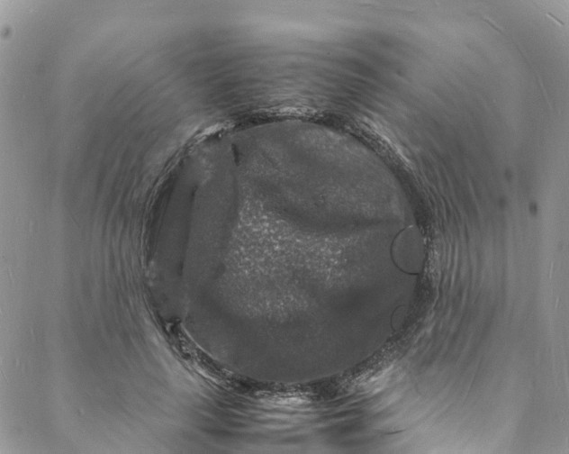 X0000088030643200705251117