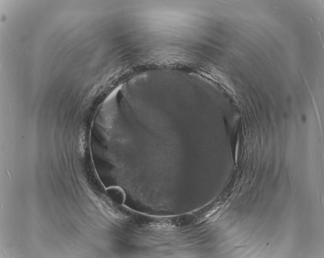 X0000088030644200705251117