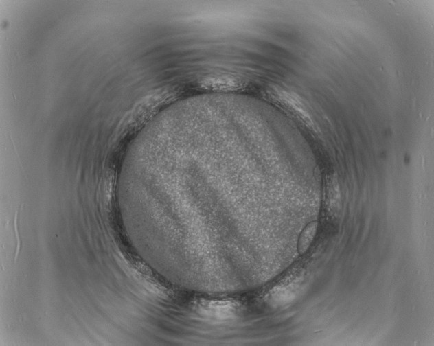 X0000088030645200705251117