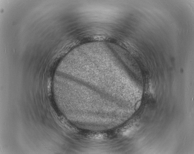 X0000088030646200705251117