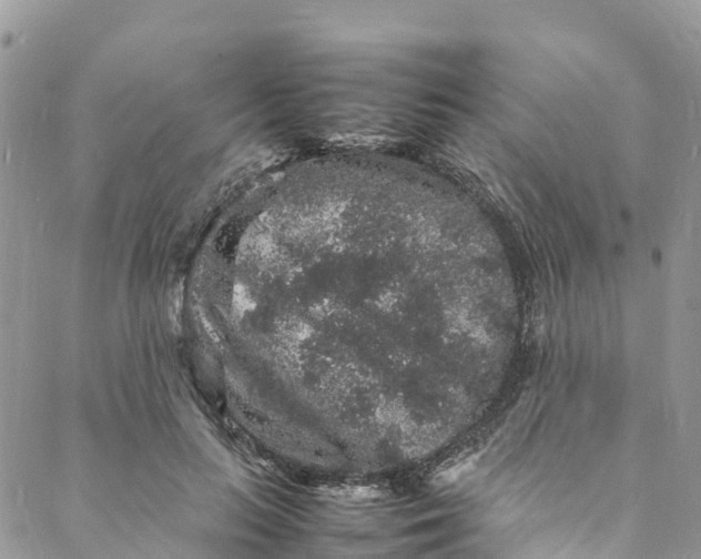 X0000088030647200705251117