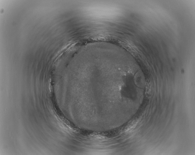 X0000088030648200705251117