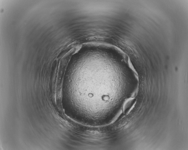 X0000088030649200705251117