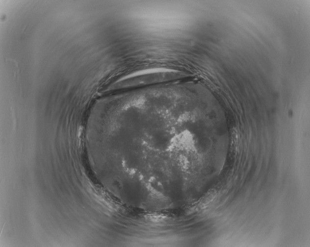 X0000088030650200705251117