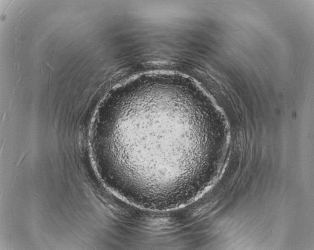 X0000088030651200705251117