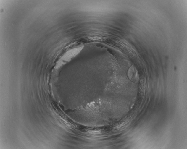 X0000088030653200705251118