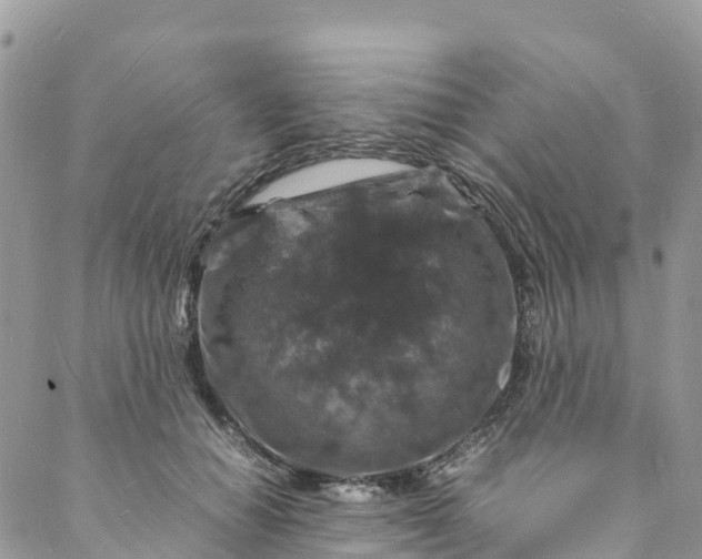 X0000088030654200705251118