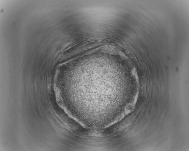 X0000088030656200705251118