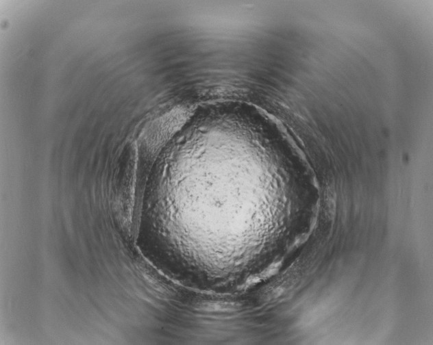 X0000088030657200705251118