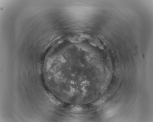 X0000088030658200705251118