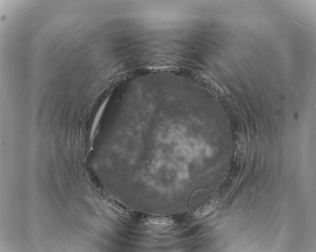 X0000088030659200705251118