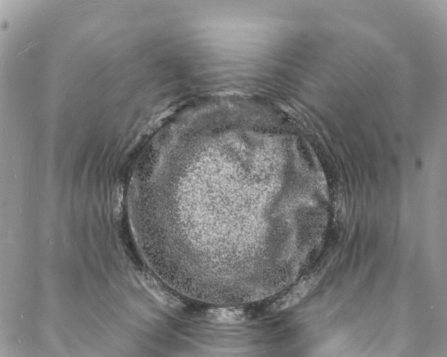 X0000088030660200705251118