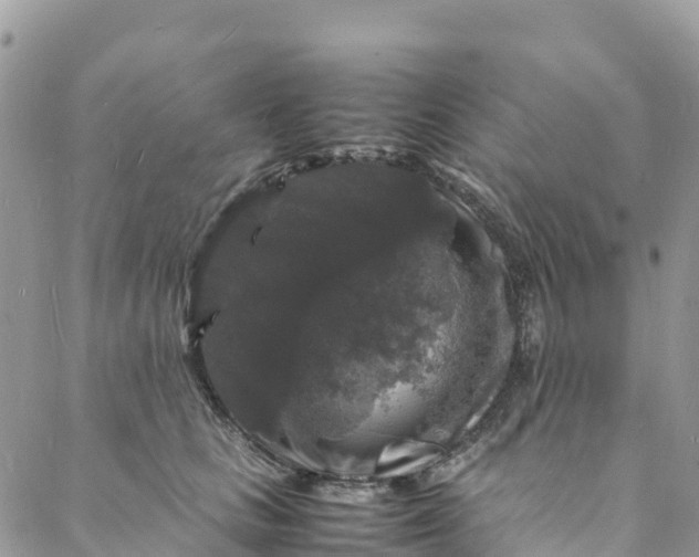 X0000088030661200705251118