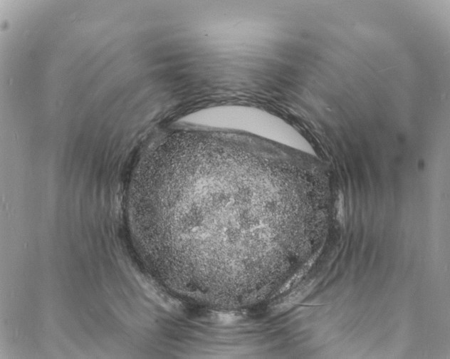 X0000088030662200705251118