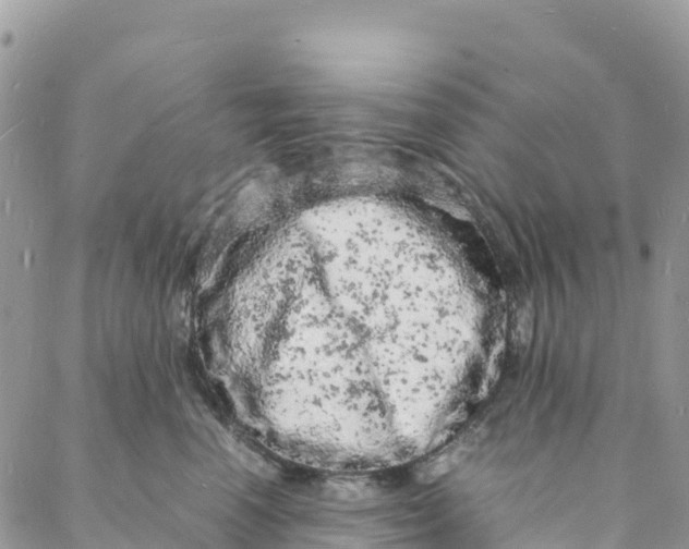 X0000088030666200705251118