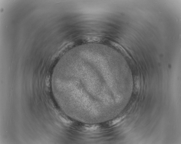 X0000088030667200705251118