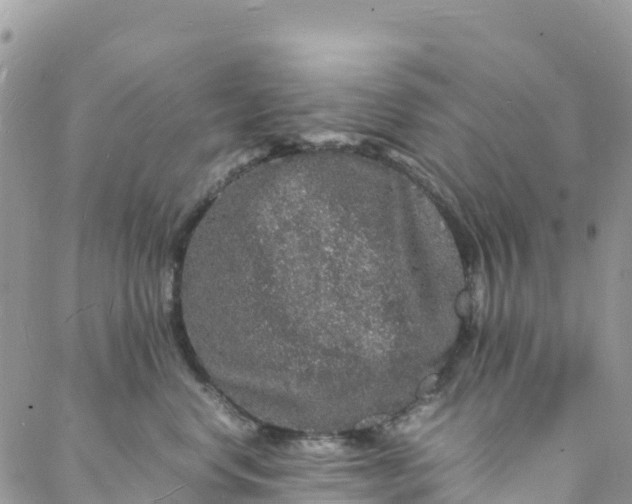 X0000088030668200705251118