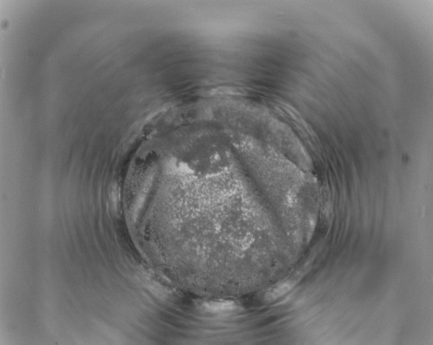 X0000088030669200705251118