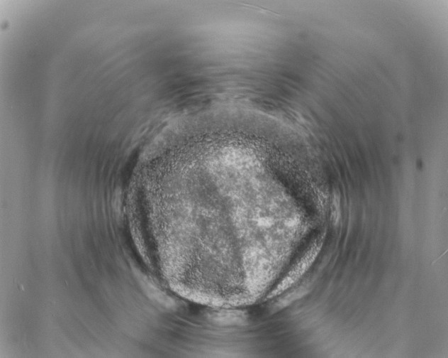 X0000088030670200705251118