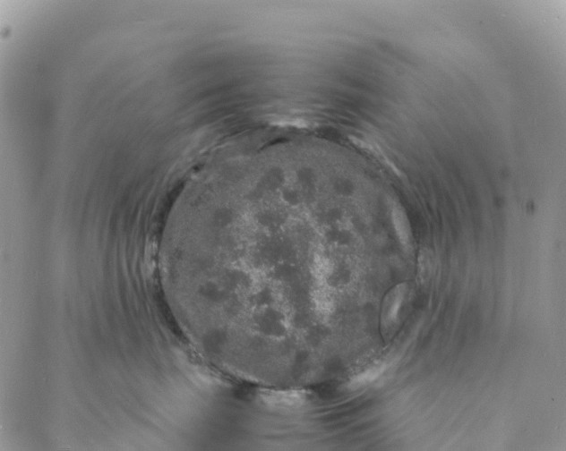 X0000088030671200705251118