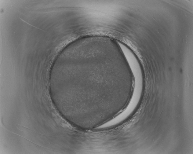 X0000088030673200705251117