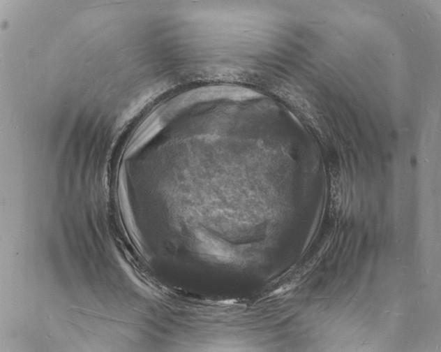 X0000088030674200705251117