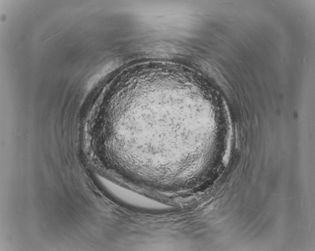 X0000088030675200705251117