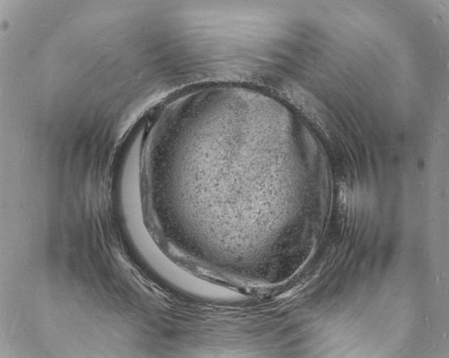 X0000088030676200705251117