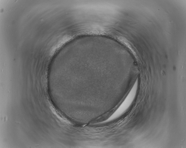 X0000088030677200705251117