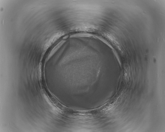 X0000088030678200705251117