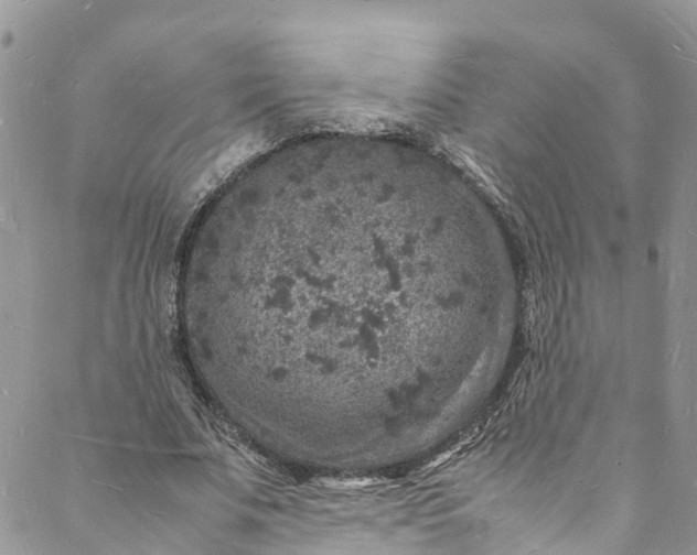 X0000088030679200705251117