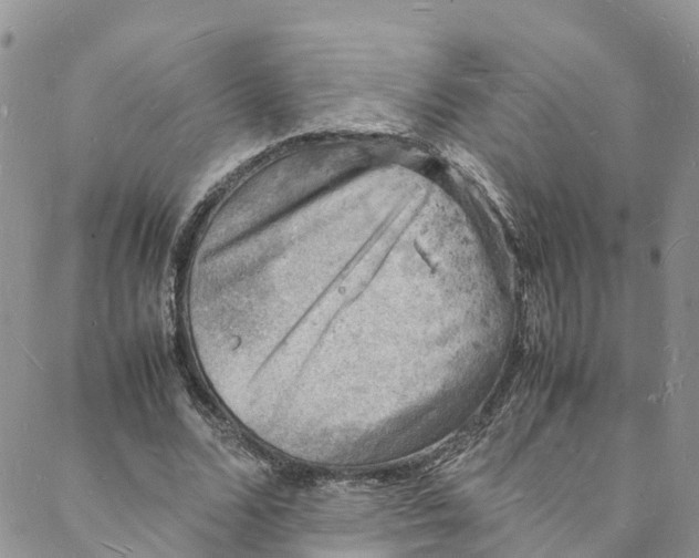 X0000088030680200705251117