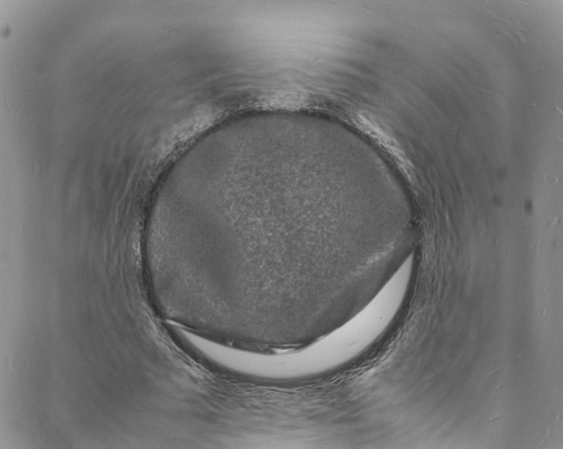 X0000088030681200705251117