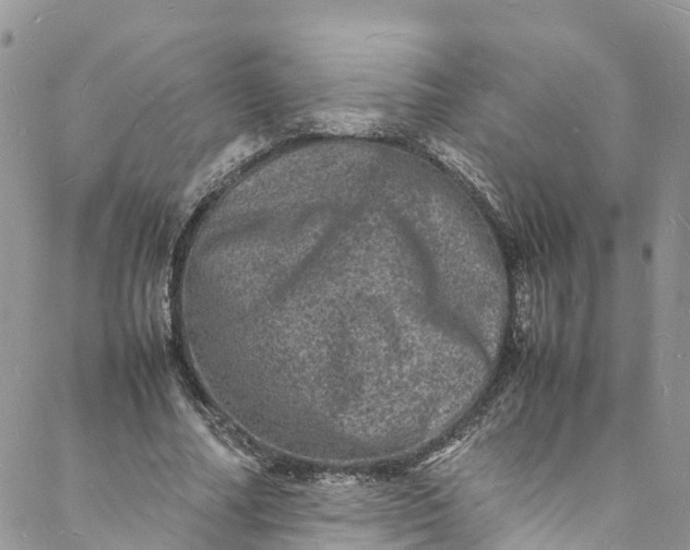 X0000088030682200705251117