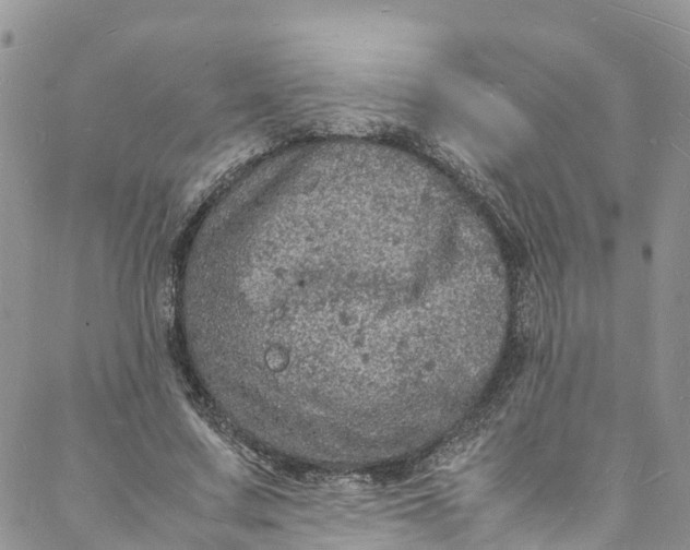 X0000088030683200705251117