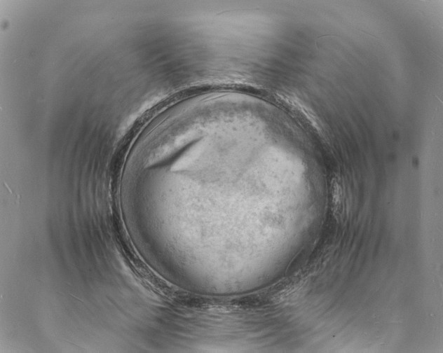 X0000088030684200705251117