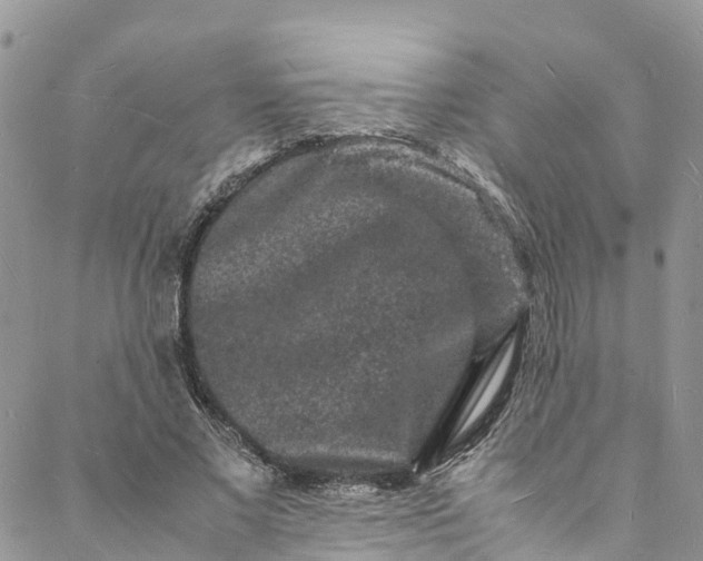 X0000088030685200705251117