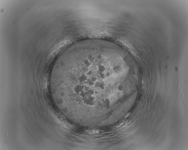 X0000088030687200705251117