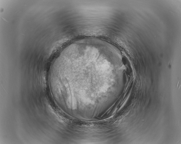 X0000088030688200705251117