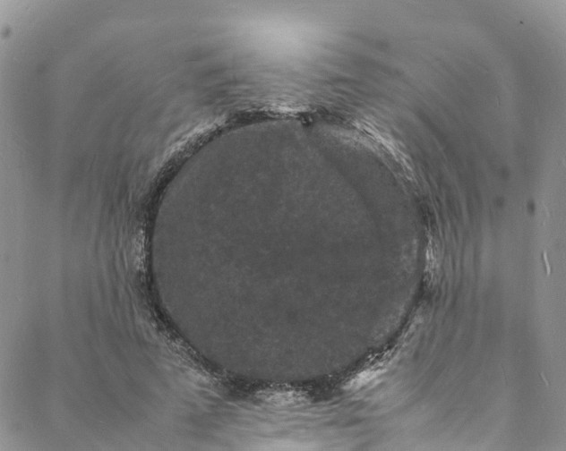 X0000088030689200705251117